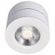 Накладной светильник Lucia Tucci LTP LTP-C003-12W-W