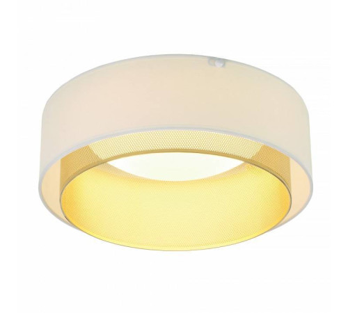 Накладной светильник MyFar Anders MR2370-1CL