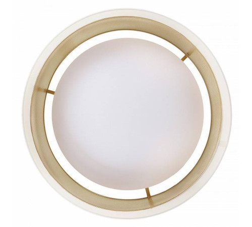 Накладной светильник MyFar Anders MR2371-1CL