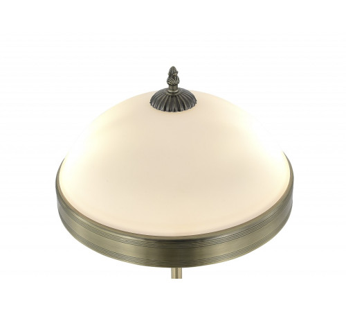 Настольная лампа декоративная MyFar Biene MR2522-2T