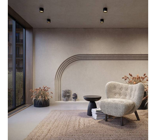 Накладной светильник Maytoni Planet C009CW-L12B4K