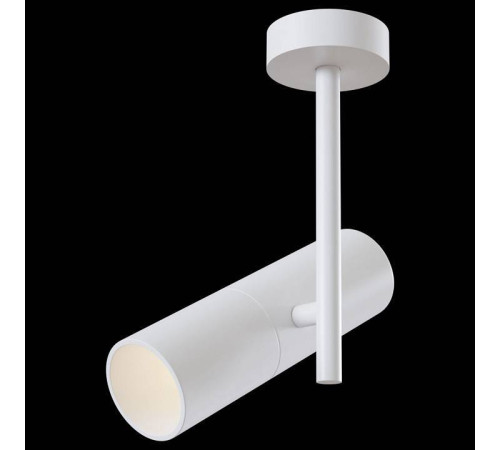 Светильник на штанге Maytoni Elti C020CL-01W