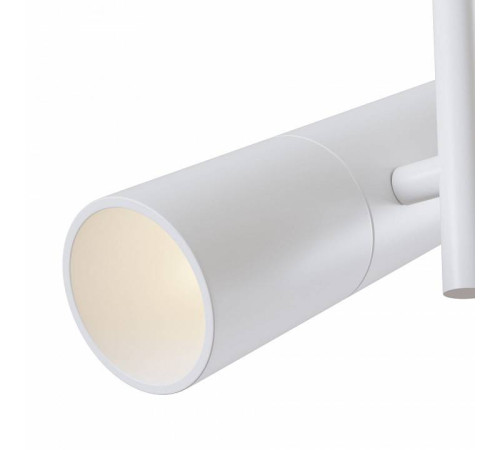 Светильник на штанге Maytoni Elti C020CL-01W