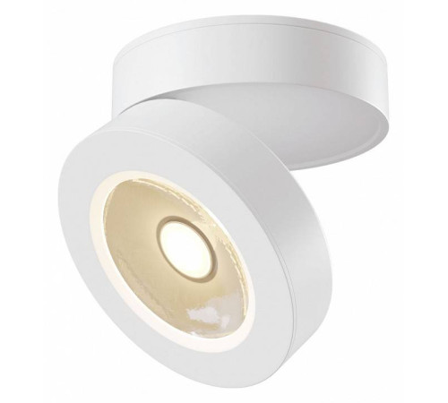 Накладной светильник Maytoni Magic C022CL-L12W