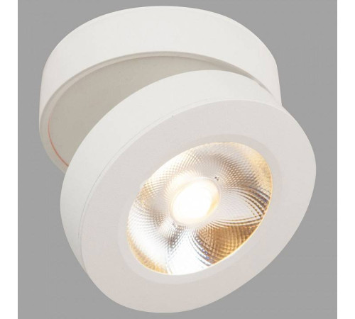 Накладной светильник Maytoni Magic C022CL-L12W