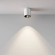 Накладной светильник Maytoni Alfa LED C064CL-5W4K-RD-WB