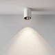 Накладной светильник Maytoni Alfa LED C064CL-8W4K-RD-WB