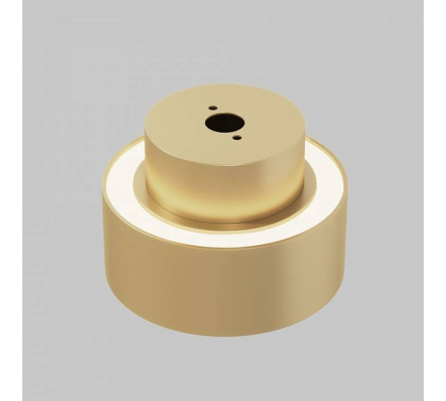 Накладной светильник Maytoni Space C092CL-GX53-MG