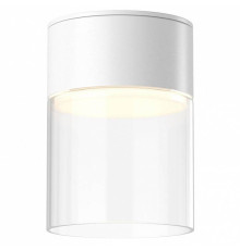 Накладной светильник Maytoni Glory C094CL-GX53-W