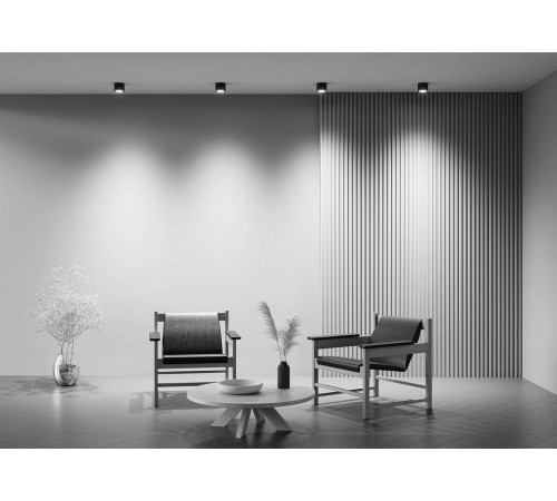 Накладной светильник Maytoni Rendo C095CL-GX53-B