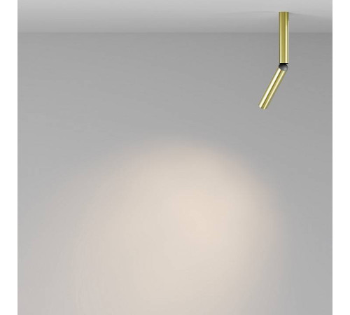 Светильник на штанге Maytoni Focus T C142CL-6W3K-BS