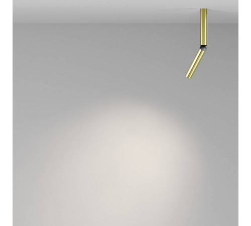 Светильник на штанге Maytoni Focus T C142CL-6W4K-BS