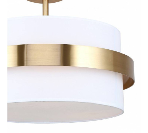 Светильник на штанге Freya Bride FR5367CL-03BS