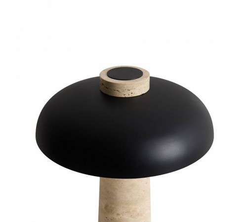 Настольная лампа декоративная Freya Sunspot FR5482TL-L7B