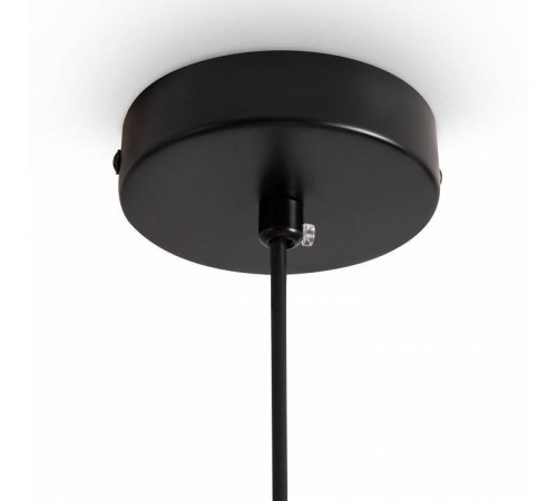 Подвесной светильник Freya Fly FR5489PL-01BG