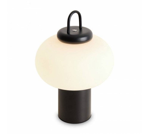 Настольная лампа декоративная Freya Take FR6175TL-L10B