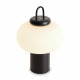 Настольная лампа декоративная Freya Take FR6175TL-L10B