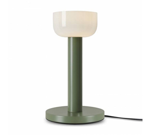 Настольная лампа декоративная Freya Barries FR6185TL-L5GN