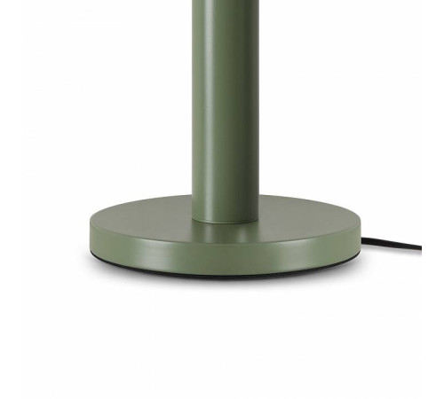 Настольная лампа декоративная Freya Barries FR6185TL-L5GN