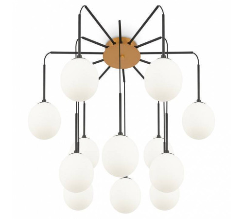 Потолочная люстра Maytoni Branch MOD176PL-12G