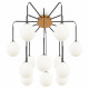 Потолочная люстра Maytoni Branch MOD176PL-12G
