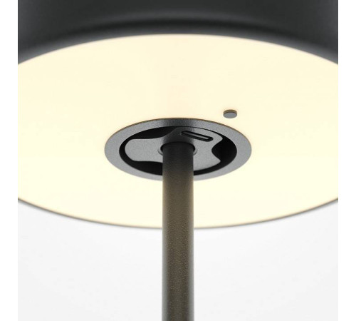 Настольная лампа декоративная Maytoni AI Collaboration MOD229TL-L3B3K2