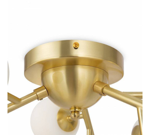 Потолочная люстра Maytoni Dallas MOD545CL-12BS