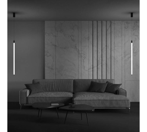 Подвесной светильник Maytoni Ray P022PL-L20B3K