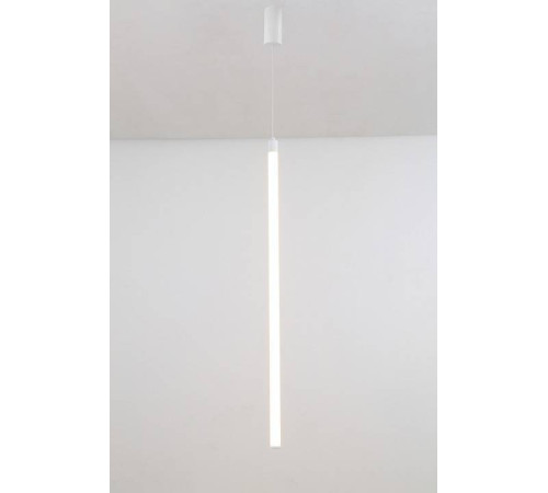 Подвесной светильник Maytoni Ray P022PL-L20W3K