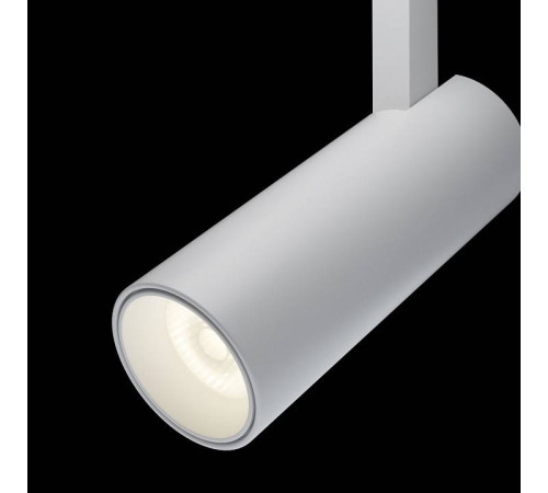 Светильник на штанге Maytoni Focus LED TR019-2-10W3K-W