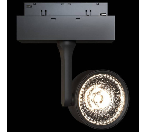 Трековый светильник Maytoni Track lamps 10 Вт 3000K TR024-2-10B3K