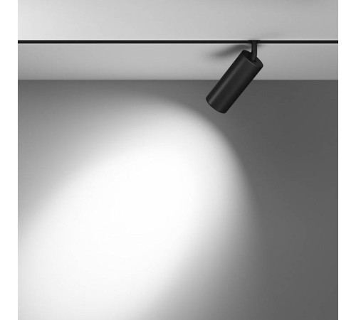 Светильник на штанге Maytoni Focus LED TR032-4-20WTW-M-DD2-B