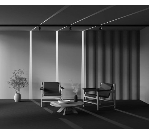 Светильник на штанге Maytoni Outline TR090-2-6W4K-B