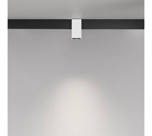 Накладной светильник Maytoni Alfa TR121-2-7W4K-W