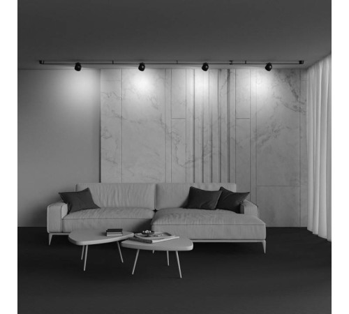 Накладной светильник Maytoni Cup TR124B-12W3K-B