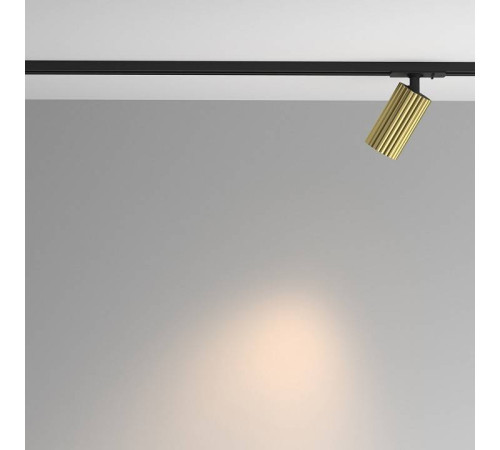 Светильник на штанге Maytoni Calipso TR218-1-GU10-BS