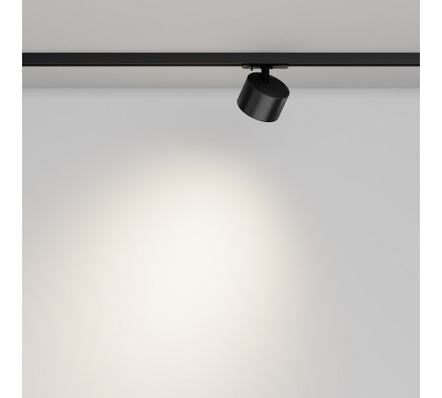 Светильник на штанге Maytoni TR225-1-GX53-B