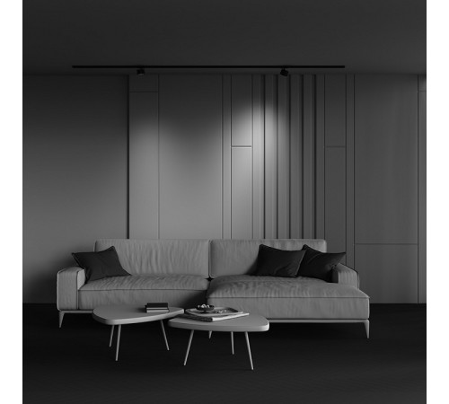 Светильник на штанге Maytoni TR225-1-GX53-B