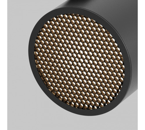 Светильник на штанге Maytoni TR225-1-GX53-B