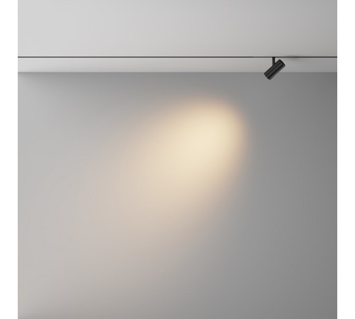 Светильник на штанге Maytoni Technical Focus Led TR243-4-5WTW-DSZ-B