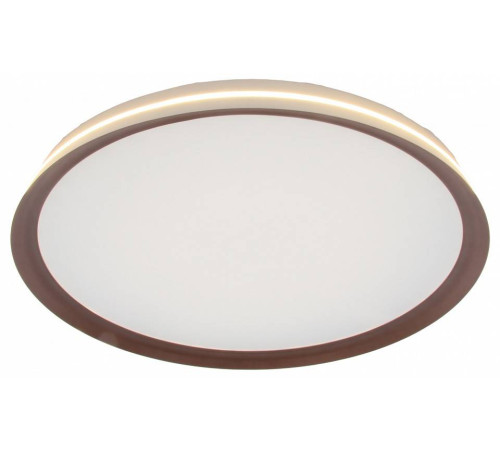 Накладной светильник Mizi`en Titan MZ31502-430