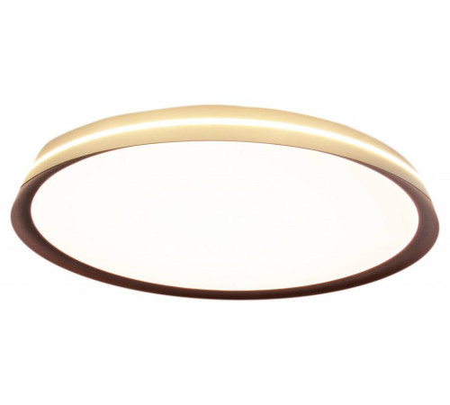 Накладной светильник Mizi`en Titan MZ31502-430