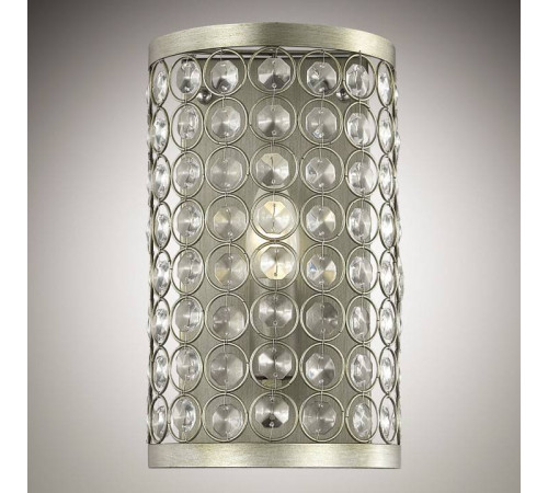 Накладной светильник Odeon Light Soras 2897/1W