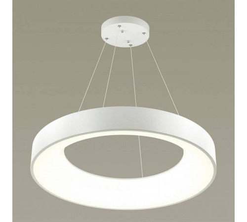 Подвесной светильник Odeon Light Sole 4066/50L
