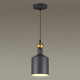 Подвесной светильник Odeon Light Bolli 4085/1