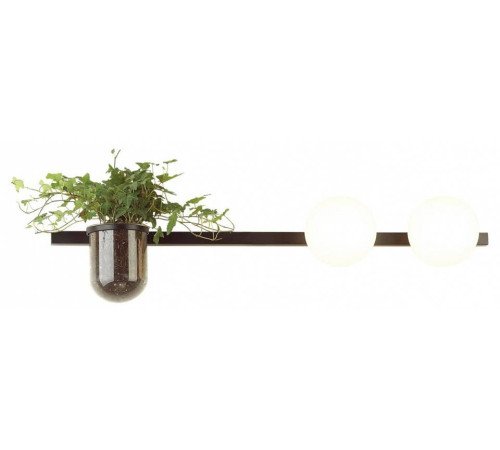 Бра Odeon Light Flower 4681/2W