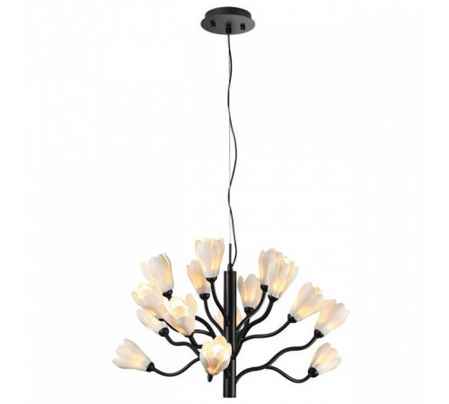 Подвесная люстра Odeon Light Gardi 5090/15