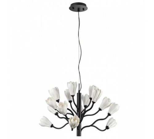 Подвесная люстра Odeon Light Gardi 5090/15