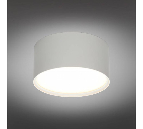 Накладной светильник Omnilux Abano OML-103309-12