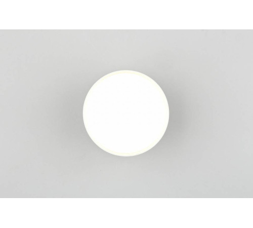 Накладной светильник Omnilux Abano OML-103309-12